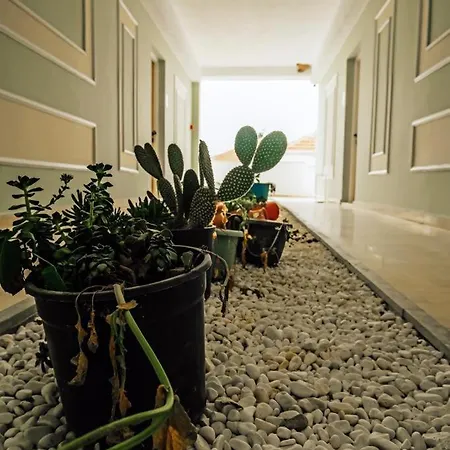 Hotel del amor Marin Yalikavak 3*