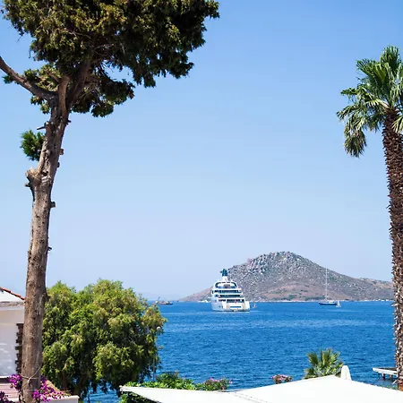 Marin Yalikavak Hotel del amor 3*