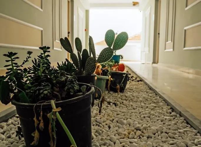 Hotel miłości Marin Yalikavak 3*